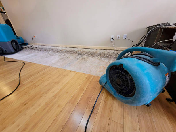 Professional Water Damage Repair technician working in Washington Court House, OH